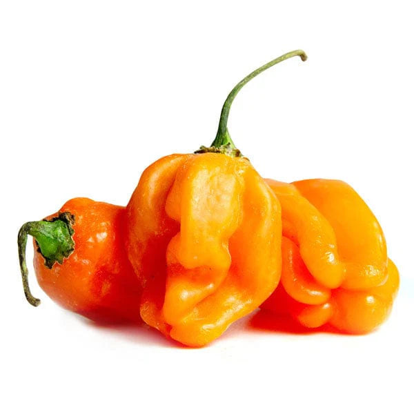 Habanero