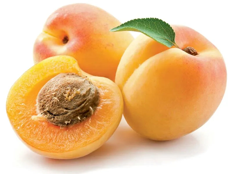 Dark Apricot