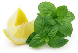 White Lemon Mint